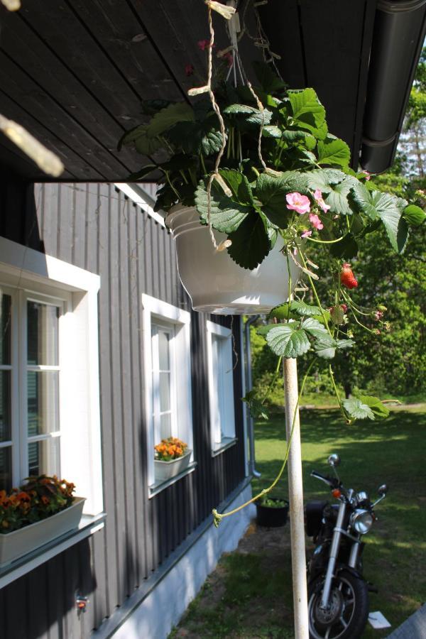 Hotel UKI Puhkeküla Pärnu Exterior foto